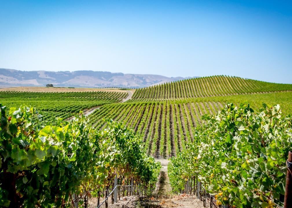 #33. Napa, California (tie)